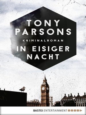 cover image of In eisiger Nacht